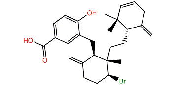 Callophycoic acid J